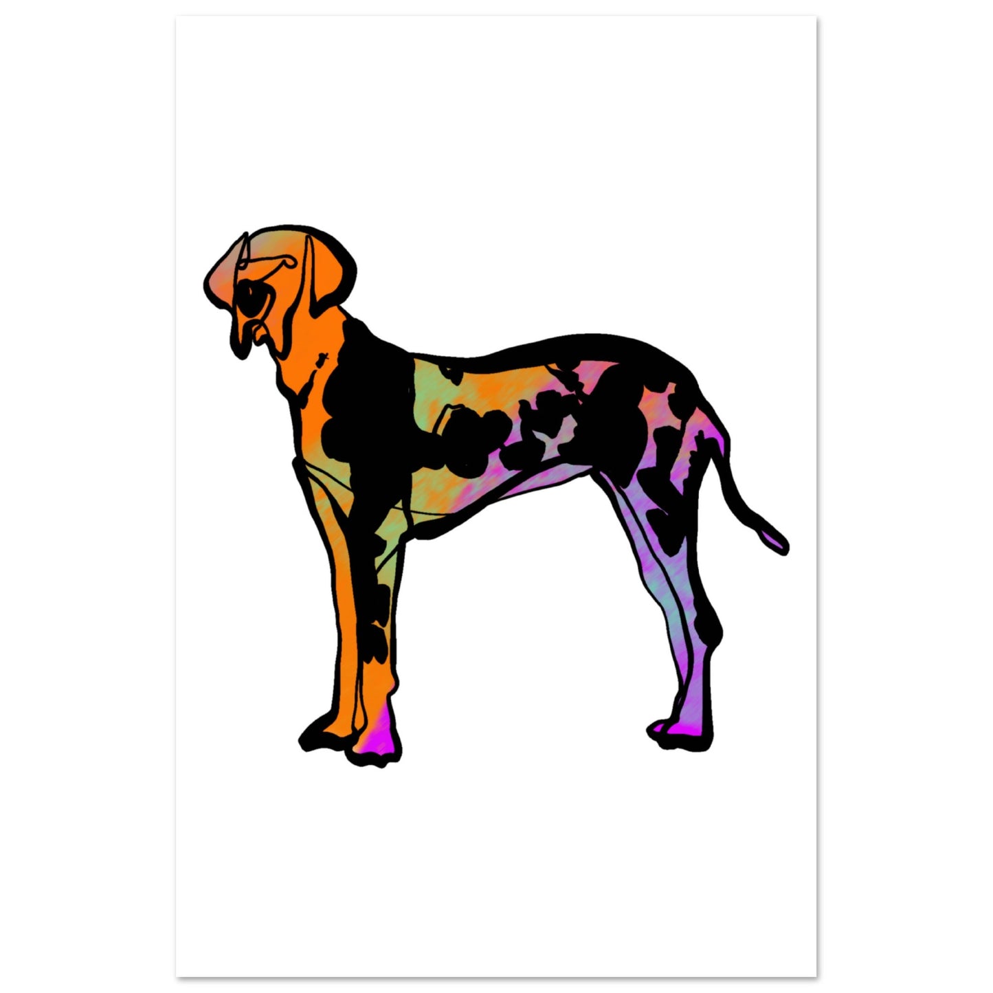 22292514-d70d-4caa-923e-6ca8402d91eb