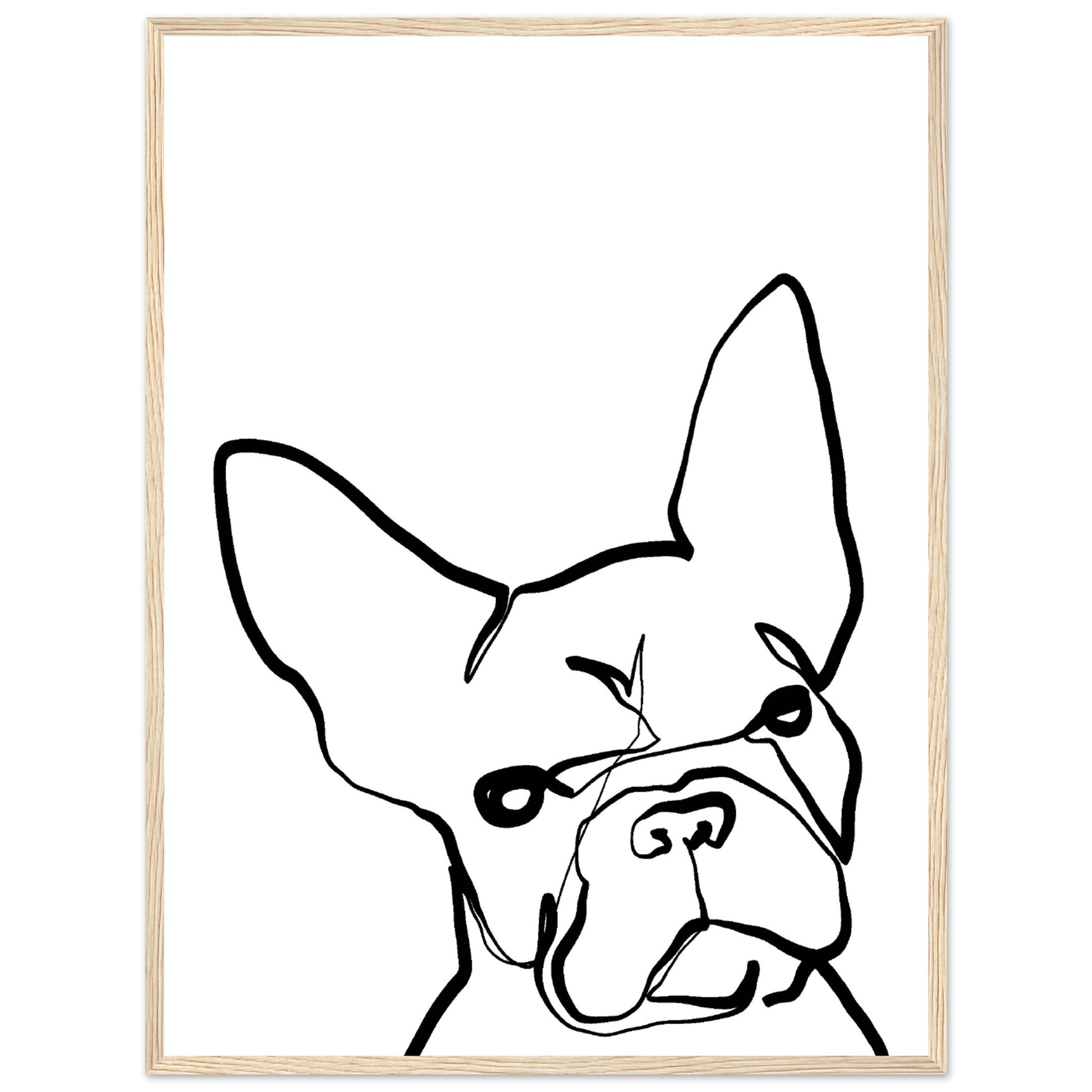 46e7887a-43d2-493e-acd4-c82937a90172