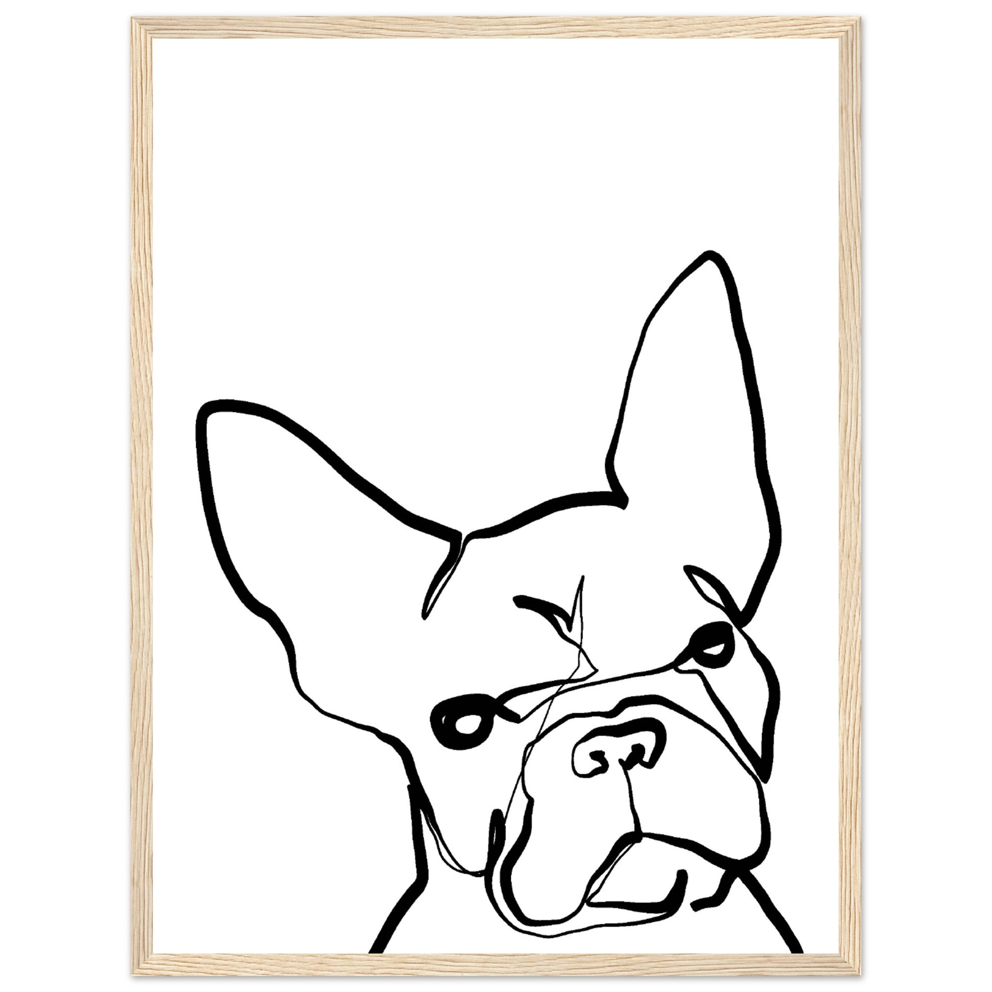 50906696-21fb-45a0-8ba1-f027b4f0000c