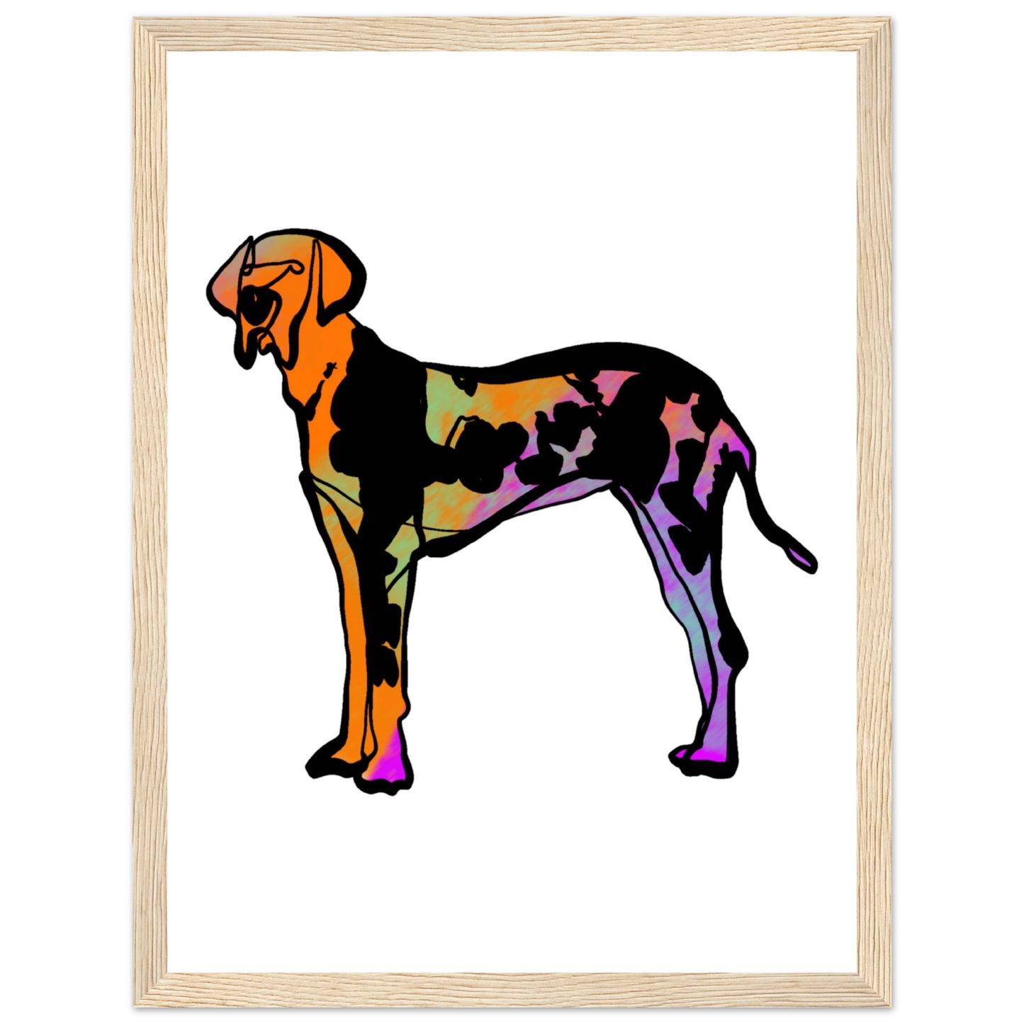 97c9f654-db2e-442a-8504-bcc72476dda0