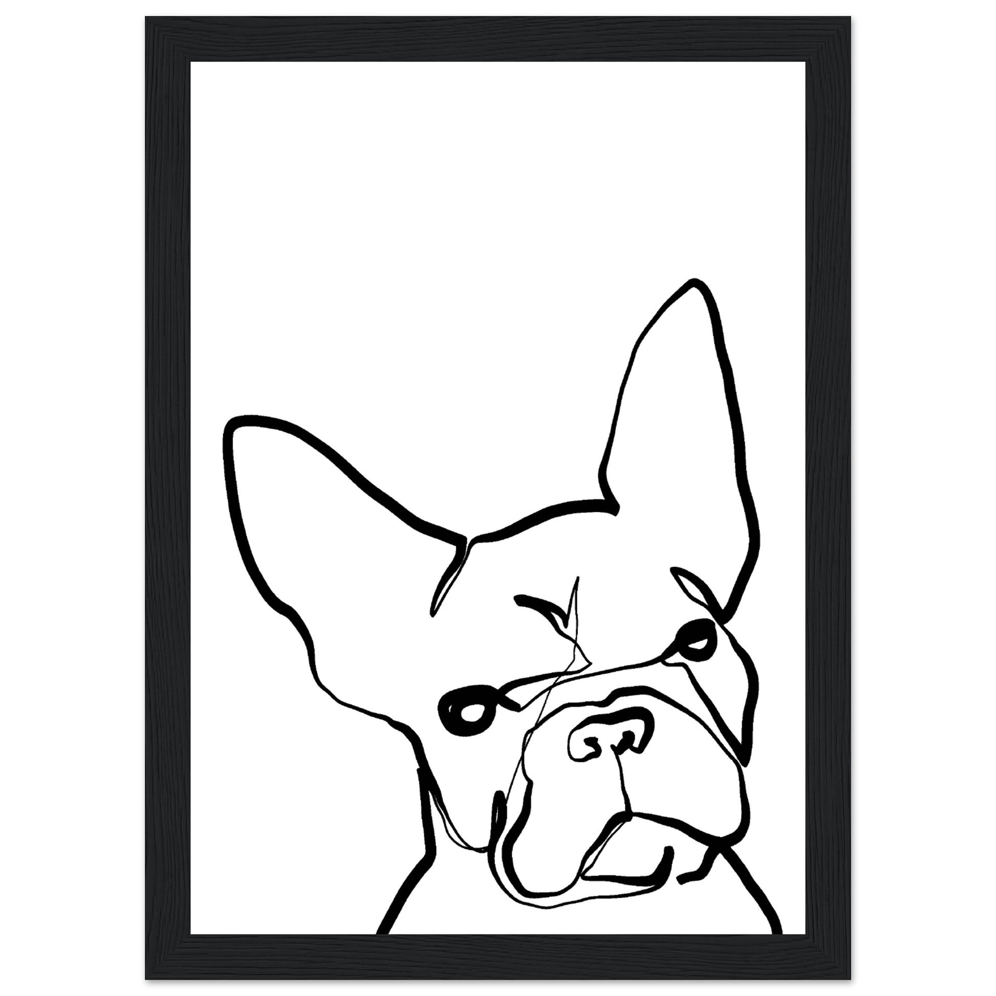 a46cfa22-aed1-443f-898a-c9d5038da45a