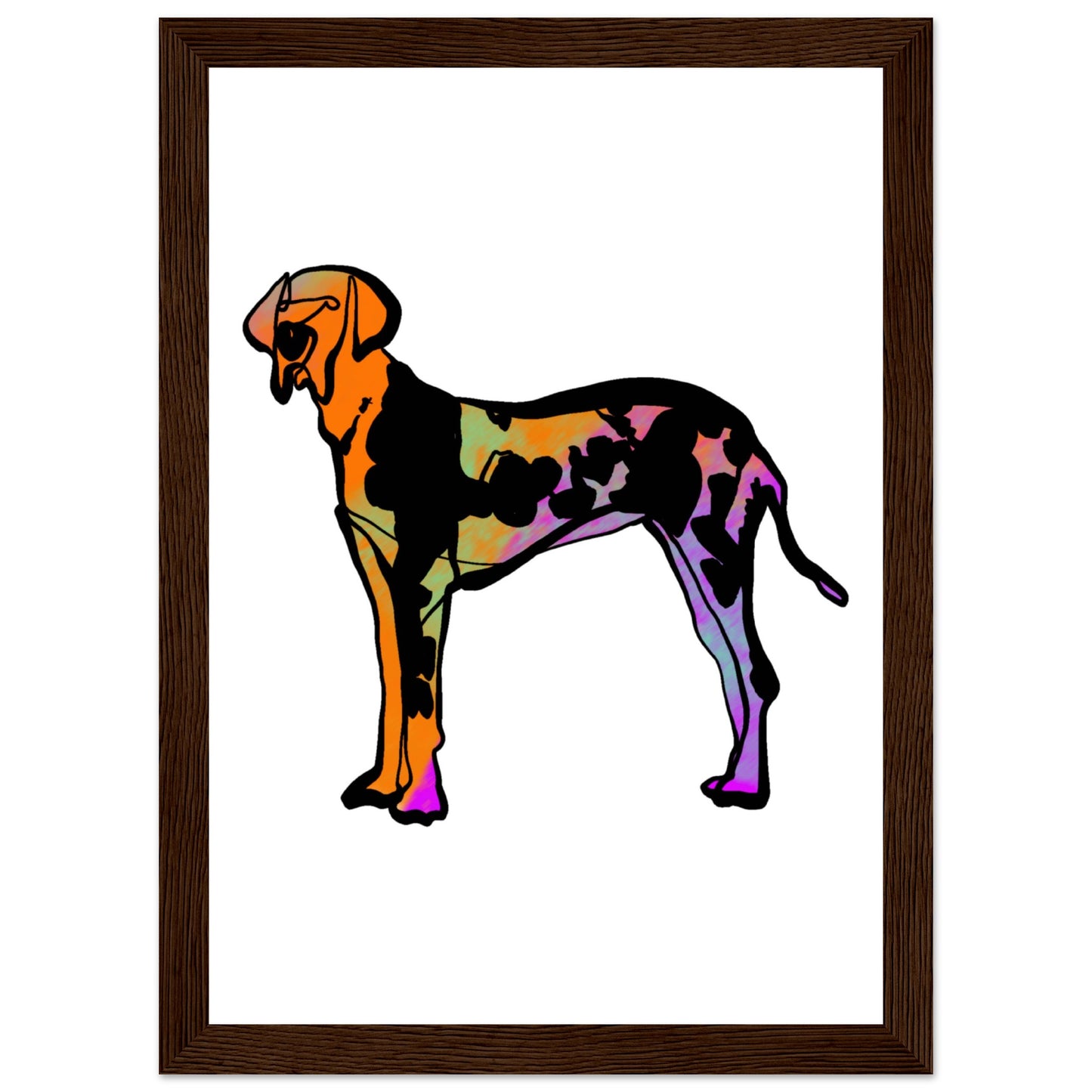 c54b0580-be2f-48d8-9f22-694eced59b82