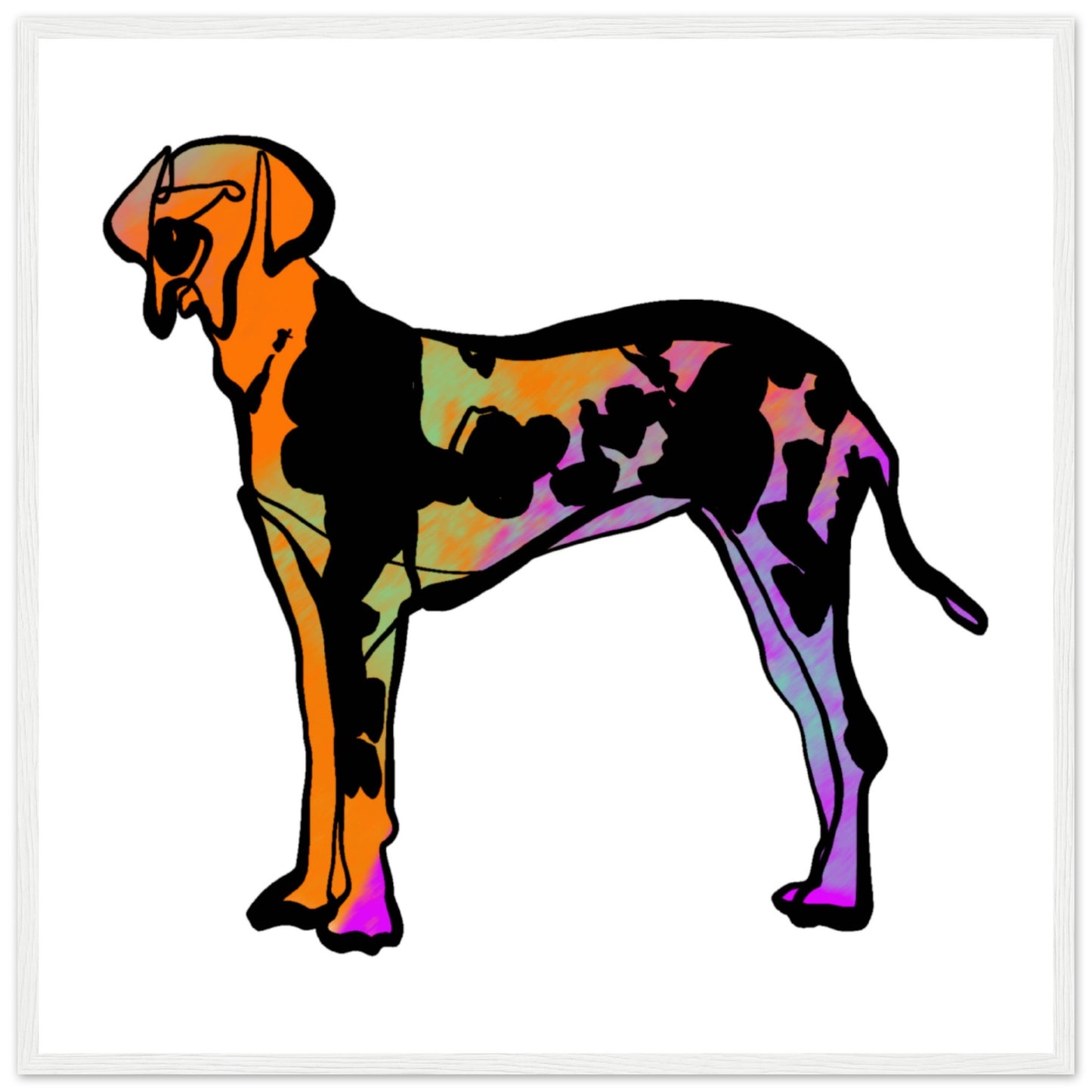 ed371289-ce1c-4bd3-86e3-53a00d31702f